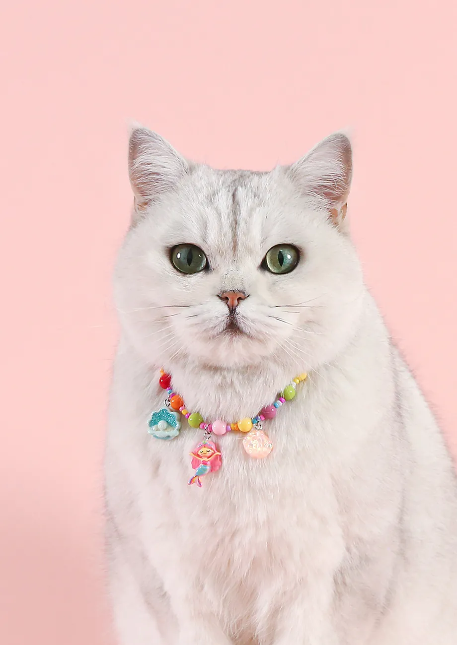Multicolour Cat Resin Beaded Locket Collar